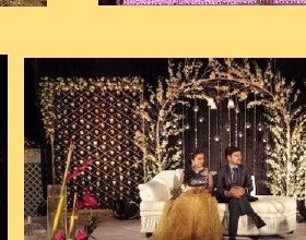 Branch & Crystal Stage Seating - Udaipur Hotel, Villa & Resort
