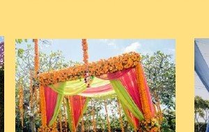 Greenery Wall with Marigold Swags - Udaipur Hotel, Villa & Resort