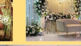 Greenery Arch Stage - Udaipur Hotel, Villa & Resort